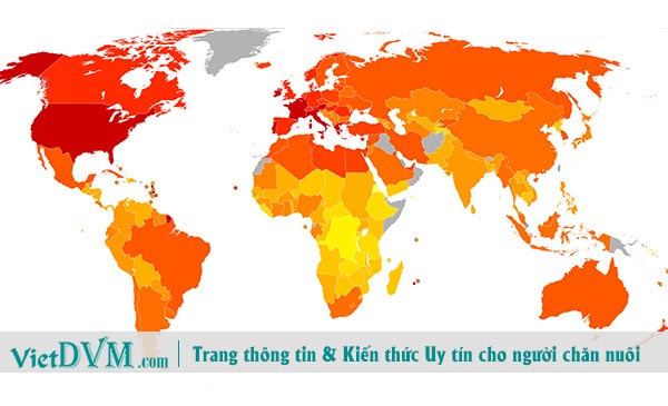 Ngành thức ăn chăn nuôi đang phải gánh chịu thêm những hậu quả của việc toàn cầu hóa.