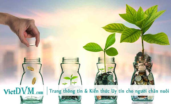 Coi chi phí như một khoản đầu tư.