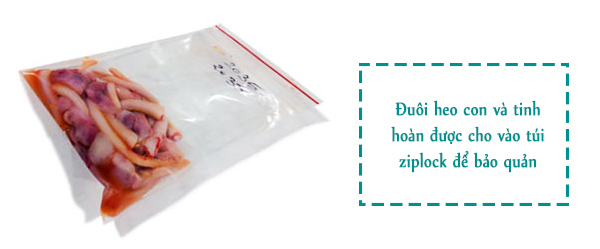 Đuôi heo con và tinh hoàn được cho vào túi ziplock để bảo quản.