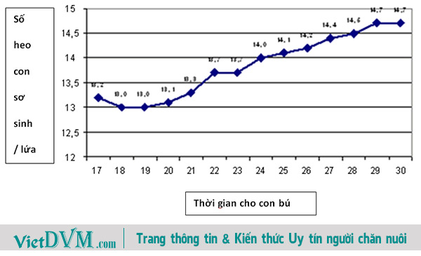 Anh-huong-thoi-gian-cho-con-bu-den-so-lua-de