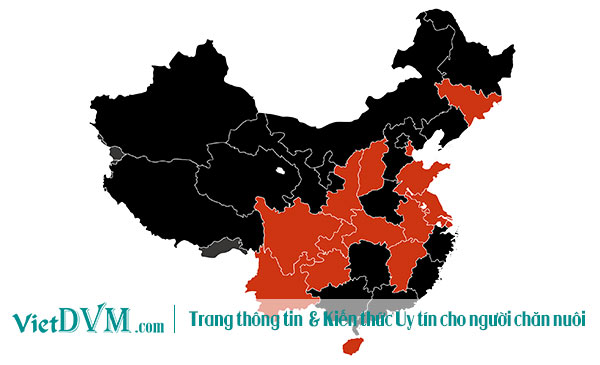 Trung Quốc vẫn đang vật lộn với cúm gia cầm.