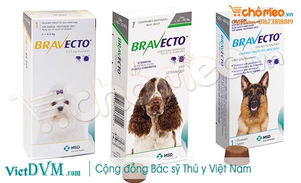 Bravector trị ghẻ Demodex hiệu quả