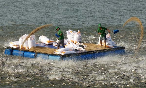 Hùng Vương bán Công ty thức ăn chăn nuôi Việt Thắng cho VinEco