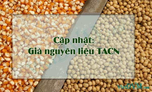 VietDVM.com cập nhật giá cả nguyên liệu thức ăn chăn nuôi ngày 04/06/2018