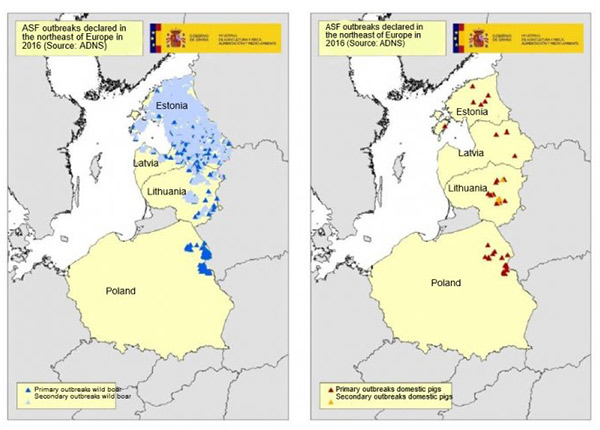 Bản đồ về các vụ dịch được công bố ở Estonia, Latvia, Lithuania và Ba Lan trong năm 2016 (Nguồn: hệ thống cảnh báo dịch bệnh động vật ADNS)