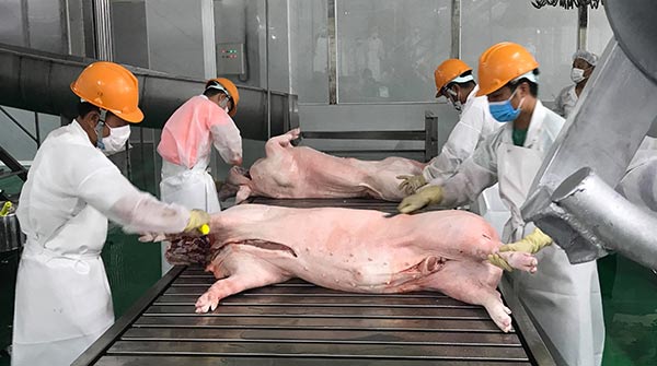 Với công suất giết mổ 300 con lợn mỗi giờ, nhà máy Biển Đông DHS sẽ góp phần phát triển vùng chăn nuôi lợn ổn định, đạt tiêu chuẩn an toàn dịch bệnh trên địa bàn tỉnh Nam Định và các tỉnh phụ cận.