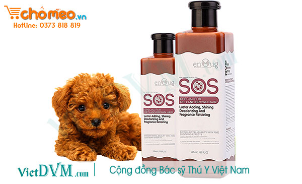 Sử dụng đúng loại sữa tắm cho từng màu lông của chó Sử dụng đúng loại sữa tắm cho từng màu lông của chó