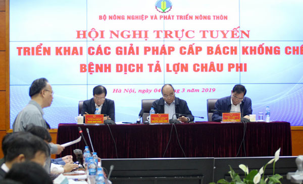 Lãnh đạo UBND TP Hà Nội báo cáo về công tác phòng chống và tình hình dịch bệnh tả lợn châu Phi tại địa phương 