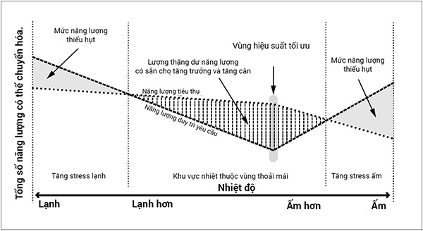 Vùng nhiệt độ cho hiệu suất tối ưu