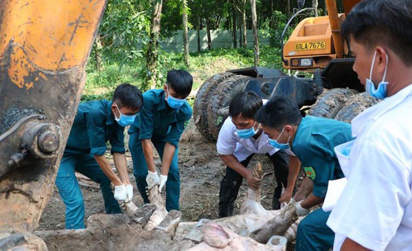 Chính phủ cũng ban hành quy định dùng Ngân sách Trung ương hỗ trợ các địa phương bị thiệt hại do dịch. (Ảnh: Báo Tuổi Trẻ).