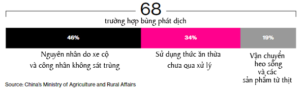 Ba nguyên nhân chính gây bùng phát bệnh dịch tả heo châu Phi