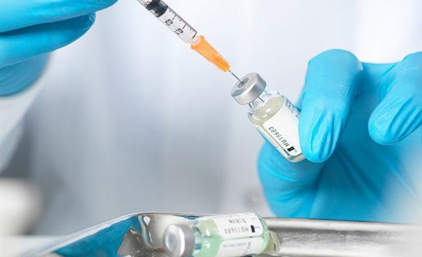 Hiện vaccine về bệnh dịch tả heo châu Phi chưa được phát triển thành công