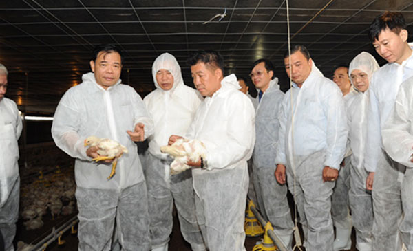 Bộ trưởng Nguyễn Xuân Cường thăm trại gà thịt công nghiệp 