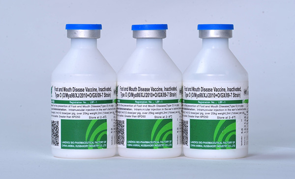 Về vaccine CaVac FMD - Type O của công ty Avet 