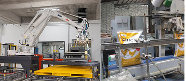Cánh tay robot và máy đóng bao tự động của nhà máy