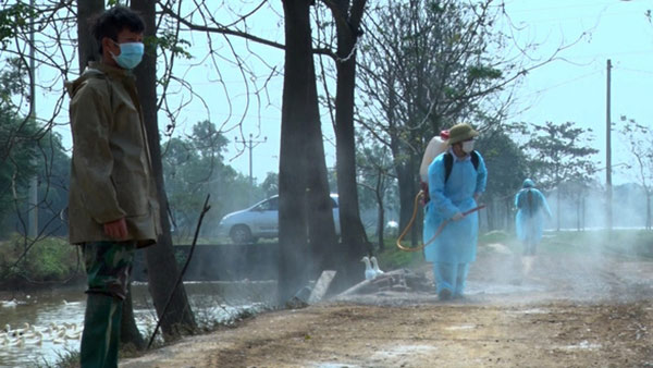 Lực lượng chức năng phun thuốc khử trùng phòng chống dịch cúm gia cầm tại xã Phú Nghĩa, huyện Chương Mỹ, Hà Nội – Ảnh: P. HẠNH