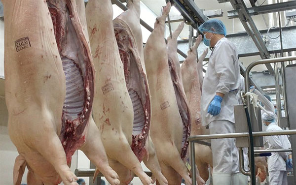 Chính phủ giao Bộ Công thương lập đoàn kiểm tra liên ngành, xử lí nghiêm nếu có hiện tượng lợi dụng tình hình dịch bệnh để găm hàng, thao túng giá thịt lợn.