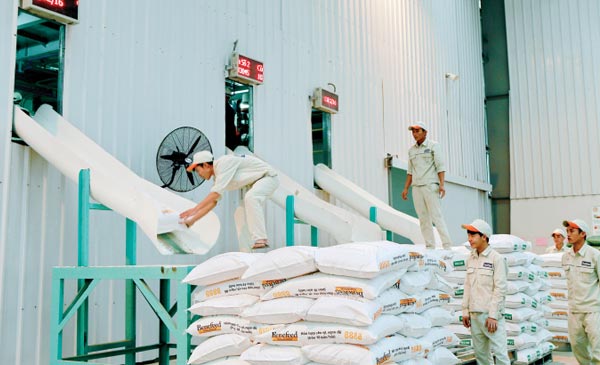 Đa phần các doanh nghiệp sản xuất thức ăn chăn nuôi tại Việt Nam chỉ đủ nguyên liệu để duy trì sản xuất 3 - 6 tháng tới. Ảnh: Đăng Quân.