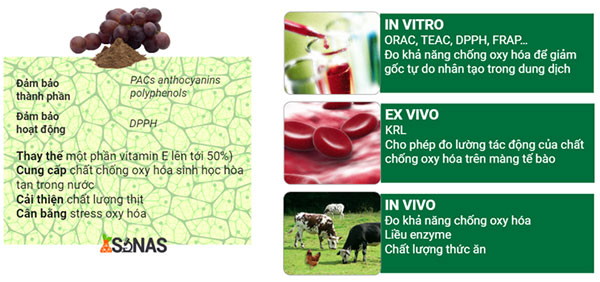 Nor-Grape® một sản phẩm có chất chống oxy hóa tự nhiên được chiết xuất từ hạt và vỏ nho 