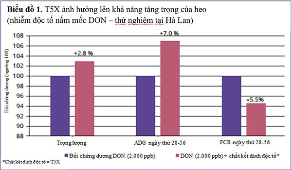 Biểu đồ 1: T5X ảnh hưởng lên khả năng tăng trọng của heo