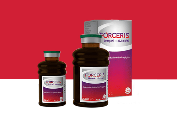 Sản phẩm Forceris - giải pháp 2 trong 1 kiểm sóat thiếu sắt và cầu trùng trên heo con
