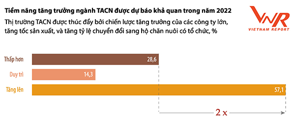 Hình 7: Đánh giá tiềm năng tăng trưởng của ngành TACN trong năm 2022