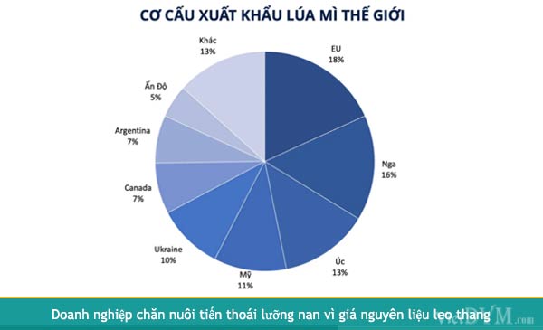 Cơ cấu xuất khẩu lúa mỳ theo các nước (theo Sở giao dịch Hàng hoá Việt Nam (MXV))