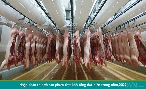 Tháng 1/2022, Việt Nam xuất khẩu được 1,39 nghìn tấn thịt và sản phẩm thịt, trị giá 6,92 triệu USD, giảm 23,5% về lượng và giảm 40,2% về trị giá so với tháng 12/2021
