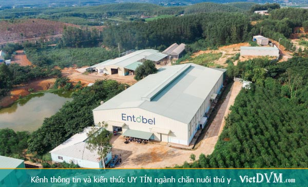 Nhà máy sản xuất và chế biến côn trùng lớn nhất thế giới của Entobel được xây dựng tại Đồng Nai vào năm 2019. Ảnh: Entobel