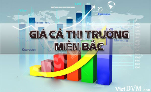 Giá cả thị trường các tỉnh phía Bắc nước ta trong tuần 25 năm 2018