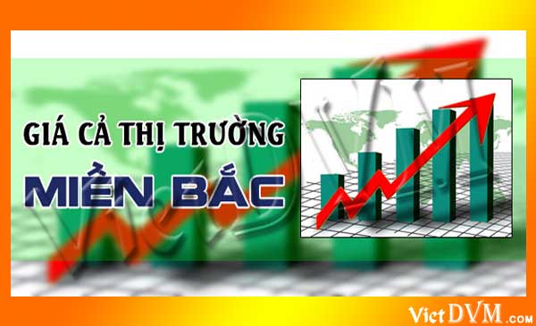 Giá cả thị trường các tỉnh phía Bắc nước ta trong tuần 04 năm 2018