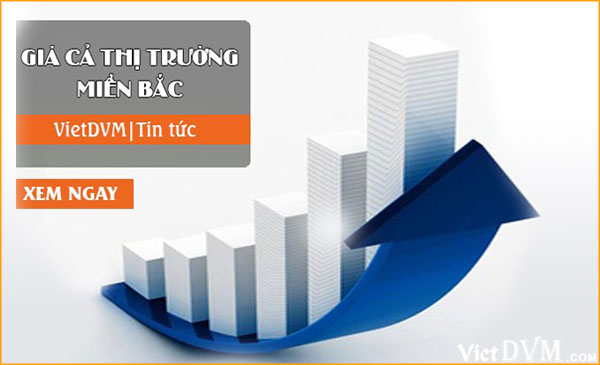 Giá cả thị trường các sản phẩm chăn nuôi tuần 31/2016 tại thị trường miền Bắc nước ta