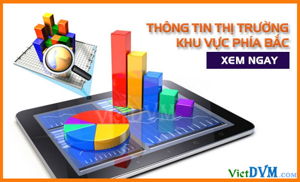 Giá cả thị trường miền Bắc tuần 51 năm 2016