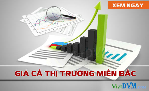 Giá cả thị trường miền Bắc tuần 36 năm 2016 (29/8 - 04/09/2016)