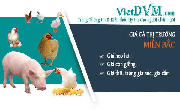 Giá cả thị trường các tỉnh phía Bắc nước ta trong tuần 22 năm 2018