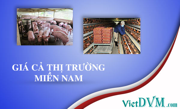 Giá cả thị trường tuần 07/2017 tại các tỉnh phía Nam