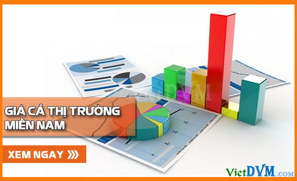 Giá cả thị trường tuần 52/2016 tại các tỉnh phía Nam