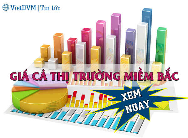 Giá cả thị trường các sản phẩm chăn nuôi tại miền Bắc tuần 17/2016