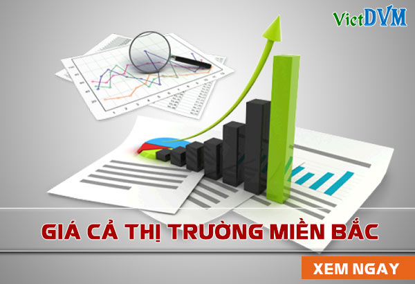 giá cả thị trường chăn nuôi