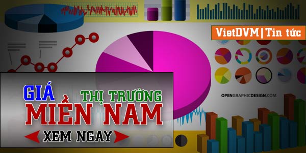 Giá cả thị trường