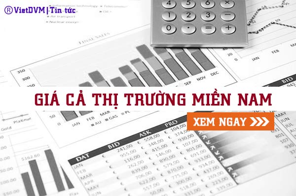 Giá cả thị trường miền Nam tuần 16/2016