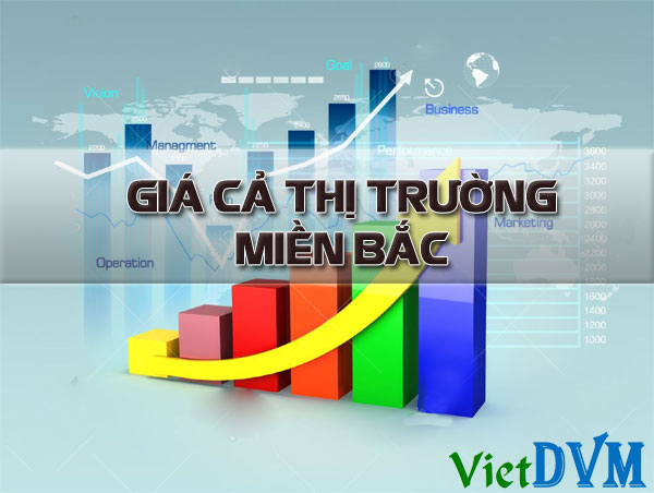 giá cả thị trường miền bắc tuần 16/2016