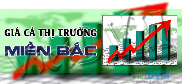 Giá cả thị trường Miền Bắc nước ta tuần 15/2016