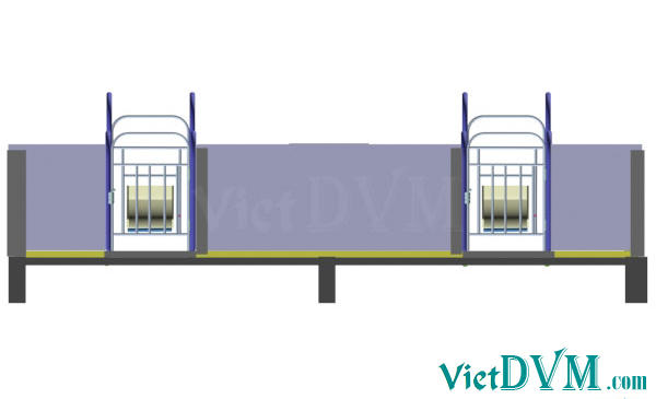 Mô hình 3d chuồng sàn cho heo nái đẻ kiểu có vách ngăn - bước 11