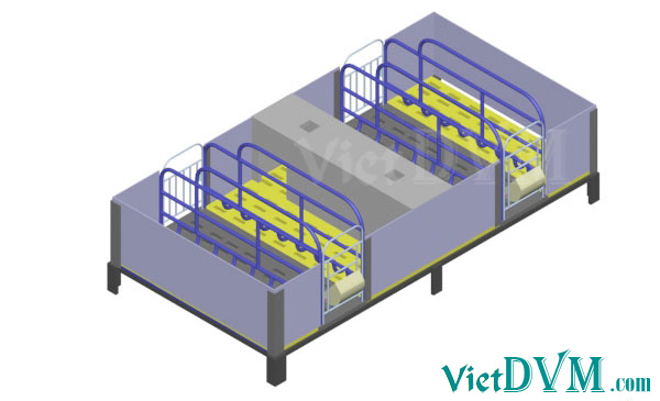 Mô hình 3d chuồng sàn cho heo nái đẻ kiểu có vách ngăn - bước 12