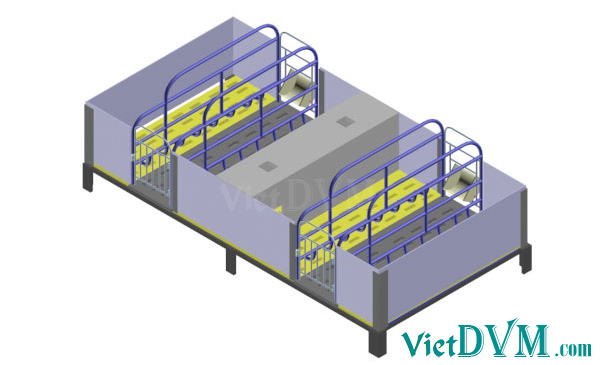 Mô hình 3d chuồng sàn cho heo nái đẻ kiểu có vách ngăn - bước 13