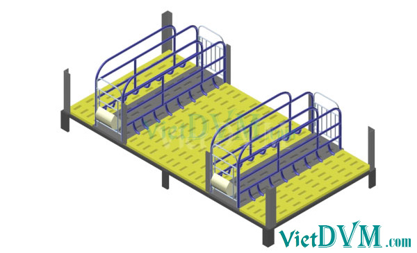 Mô hình 3d chuồng sàn cho heo nái đẻ kiểu có vách ngăn - bước 4