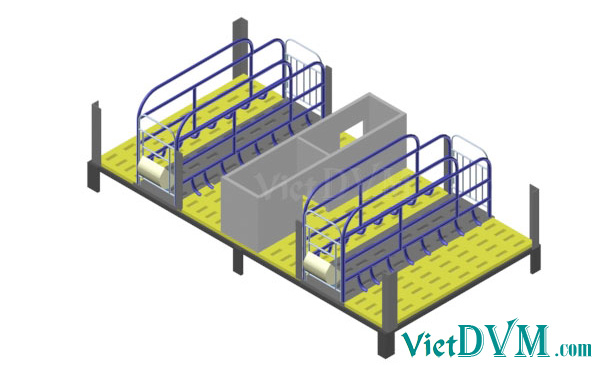 Mô hình 3d chuồng sàn cho heo nái đẻ kiểu có vách ngăn - bước 5