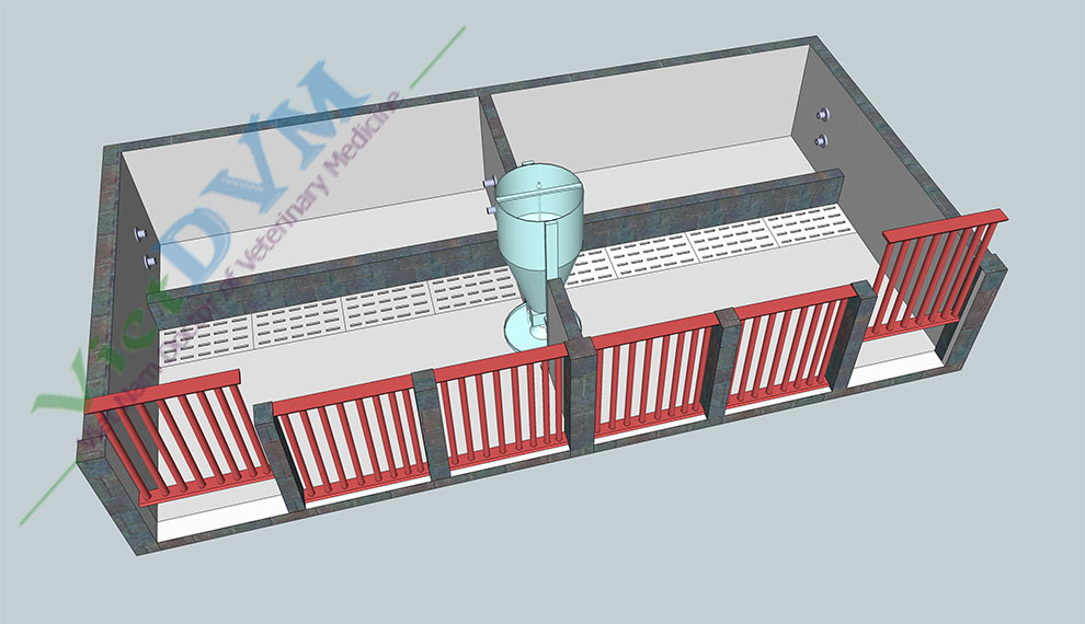 Mô hình 3D trại 30 nái  VietDVM  Trang thông tin kiến thức Chăn nuôi UY  TÍN