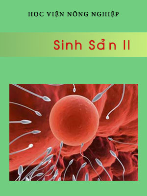 19 sinhsan2